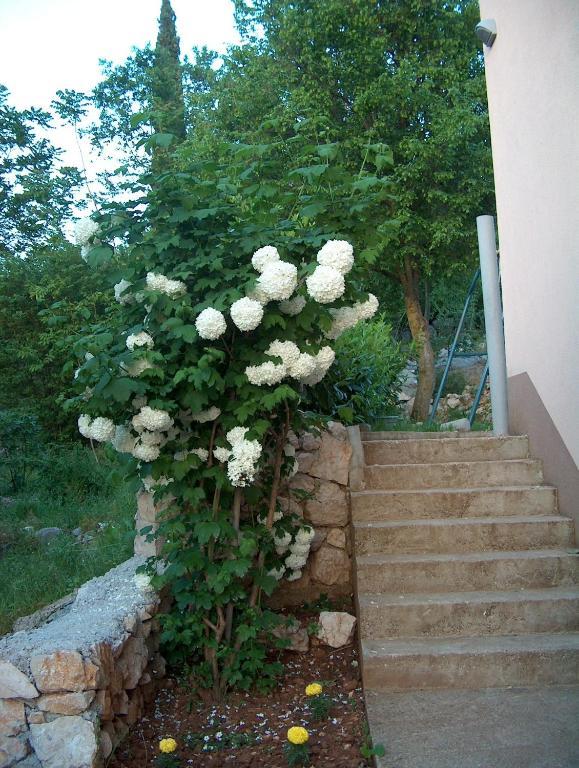 Villa Petra Medugorje Bagian luar foto